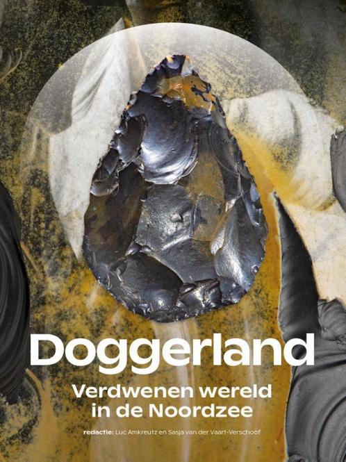 Doggerland 9789464260076 Sasja van der Vaart-Verschoof, Boeken, Geschiedenis | Wereld, Gelezen, Verzenden