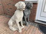Labrador Retriever 85cm hoog en meer Tuinbeelden, Tuin en Terras, Tuinbeelden, Ophalen, Nieuw, Beton, Abstract beeld