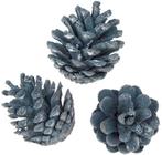 Oostenrijker dennenappel Pinus Nigra BLUE WASH 6 stuks, Hobby en Vrije tijd, Knutselen, Ophalen of Verzenden, Nieuw