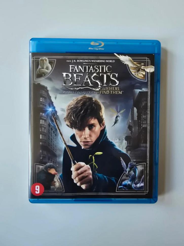 FANTASTIC BEASTS AND WHERE TO FIND THEM (BLURAY), Cd's en Dvd's, Blu-ray, Gebruikt, Verzenden