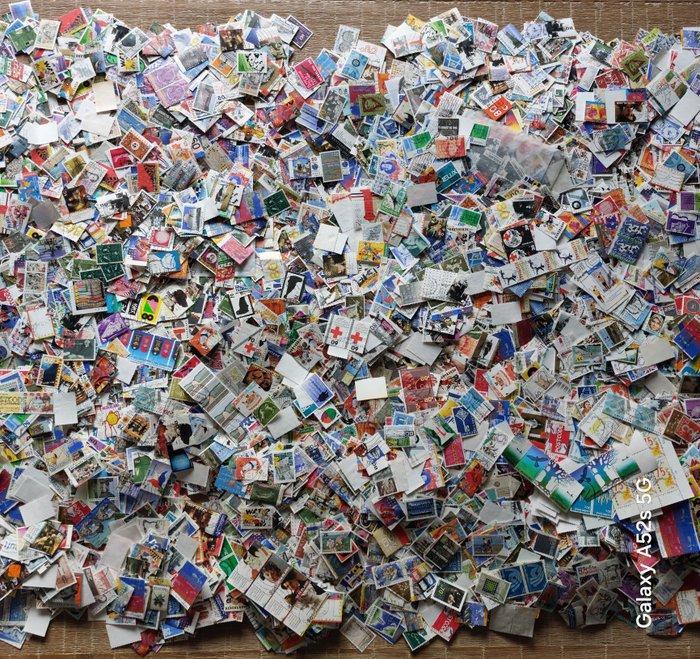 Nederland - NEDERLAND - Partij afgeweekt (leuk voor, Postzegels en Munten, Postzegels | Nederland