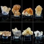 Verzameling van 8 calcietmonsters uit de La Sambre-mijn,