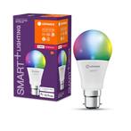 Ledvance Smart+ LED B22d 9W 806lm 2700K-6500K + RGB Mat |..., Ophalen of Verzenden, Nieuw