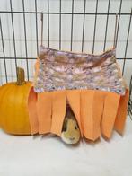 De HALLOWEEN SHOP voor je cavia en konijn, Ophalen of Verzenden, Nieuw, Overige typen