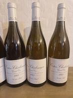 2003 Nicolas Potel - Corton Charlemagne Grand Cru - 5, Nieuw