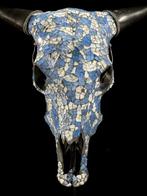 Geen minimumprijs - Prachtige koeienschedel met