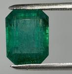 1 pcs Groen Smaragd - 11.00 ct - International Gemological, Sieraden, Tassen en Uiterlijk, Edelstenen, Nieuw