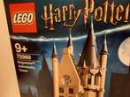 Lego Set - 75969 - Harry Potter - 75969 Hogwarts, Kinderen en Baby's, Speelgoed | Duplo en Lego, Nieuw