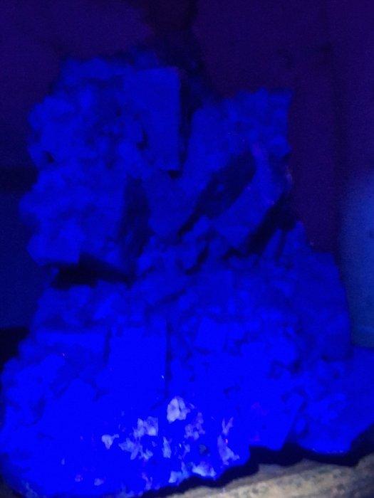 XL Fluoriet (met zeldzame daglichtfluorescentie), Verzamelen, Mineralen en Fossielen