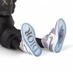 SKE - Kaws X Air Jordan DIOR