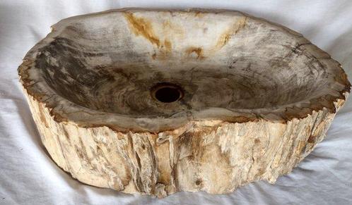 Waskom - Fossiel Hout. - wasbak, Antiek en Kunst, Curiosa en Brocante