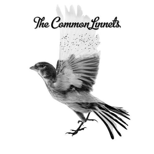 cd digi - The Common Linnets - The Common Linnets (signed..., Cd's en Dvd's, Cd's | Country en Western, Zo goed als nieuw, Verzenden