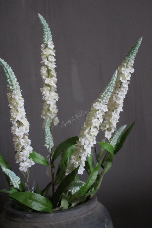 Namaak Veronica tak White crème 75 cm, Huis en Inrichting, Woonaccessoires | Kunstplanten en Kunstbloemen, Nieuw, Ophalen of Verzenden