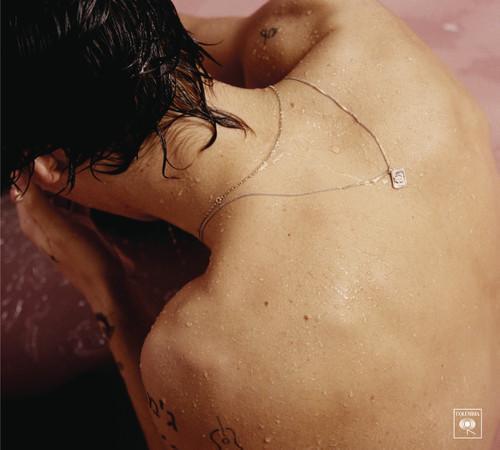 lp nieuw - Harry Styles - Harry Styles, Cd's en Dvd's, Vinyl | Pop, Zo goed als nieuw, Verzenden