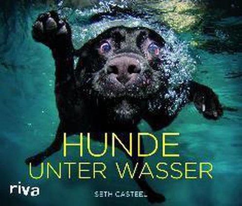Hunde unter Wasser 9783868832808 Seth Casteel, Boeken, Overige Boeken, Gelezen, Verzenden