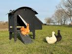 Kunststof Kippenhok - Nestera Small Op Pootjes - Bezorgen, Dieren en Toebehoren, Pluimvee | Toebehoren, Ophalen of Verzenden, Nieuw