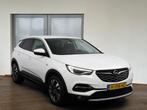 Zakelijke Lease |  Opel Grandland X 1.2 Turbo Business Execu, Auto's, Opel, Automaat, Stof, Gebruikt, Overige brandstoffen