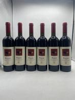 2021 Sardus Pater Kanai Carignano Del Sulcis Riserva -, Verzamelen, Nieuw