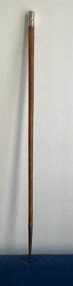 Wandelstok - Hout, Metaal