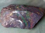 810 cts - Topkwaliteit - Museum - ENORME Honduras Black Opal