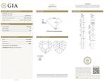 1 pcs Diamant (Natuurlijk) - 1.05 ct - Hart - E - VS1 -, Nieuw