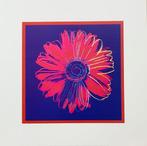 Andy Warhol (after) - Daisy, 1982 - Pop Art Artprint - 50,6