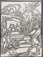 Albrecht Durer (1471-1528), after - Incorrigible Fools