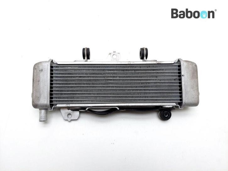 Radiateur Honda CB 125 R 2021-2023 (CB125R JC91), Motoren, Onderdelen | Honda, Gebruikt, Verzenden