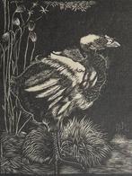 Jan Mankes (1889-1920) - Nestkuiken, Antiek en Kunst