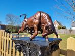 Beeld, Bronze Bull Hand-Crafted 37cm - 20.5 cm - Brons