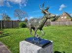 Beeld, Bronze Running Deer - 43.5 cm - Brons, Marmer