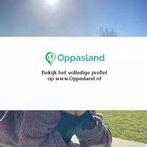 Harmke zoekt een oppas in Gasselte voor 3 kinderen voor 4..., Nieuw