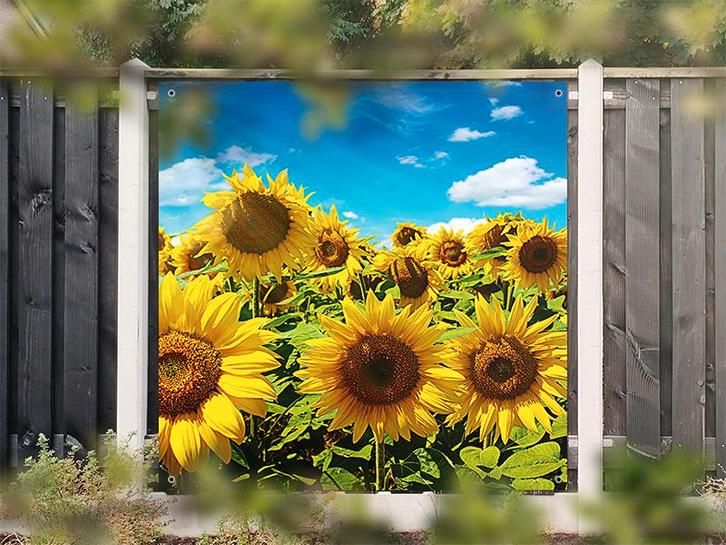 NR 1416: Tuinposter zonnebloemenveld 180x180cm, Tuin en Terras, Tuinwanddecoratie, Nieuw