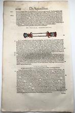Conrad Gesner [Konrad Gessner] 1516-1565: Cuttlefish, Sea, Antiek en Kunst, Antiek | Boeken en Bijbels