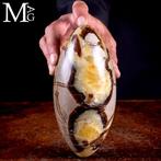 Shiva Lingam in septaria: aragoniet en calciet - Hoogte: 200