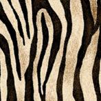 Siser Easy Pattern Flex - 30x50cm, Wild Zebra, Ophalen of Verzenden, Nieuw