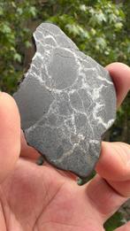 Campo del Cielo meteorite silicaat ijzermeteoor - 20 g