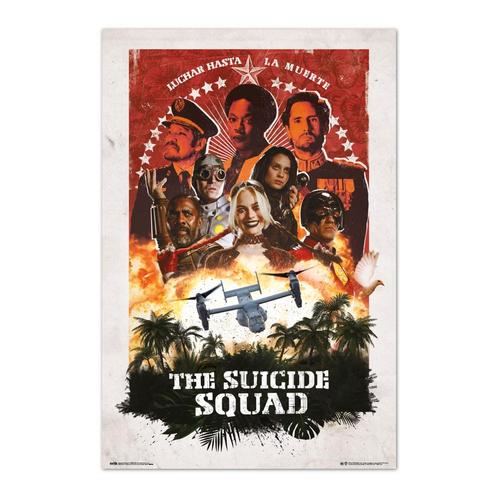 Poster DC Comics Suicide Squad Characters 61x91,5cm, Verzamelen, Posters, Nieuw, A1 t/m A3, Verzenden