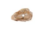 Fossiel Waskom 48x30x14 | Versteend Hout, Huis en Inrichting, Verzenden, Nieuw, Wastafelkast