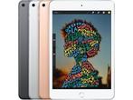 Apple iPad Mini (2019) - Wi-Fi + Cellular - 64GB - Grijs, Computers en Software, Apple iPads, Verzenden, Zo goed als nieuw