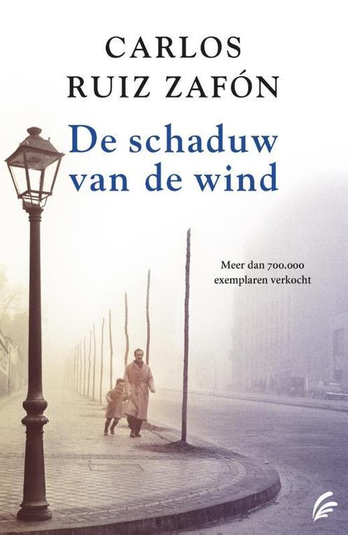 De schaduw van de wind / Het kerkhof der vergeten boeken / 1, Boeken, Romans, Zo goed als nieuw, Verzenden
