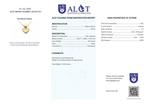 Geen veiling - ALGT gecertificeerd - Zeldzame natuurlijke, Verzamelen, Mineralen en Fossielen