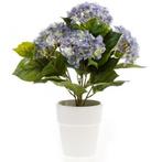 Kunstplant Hortensia blauw in witte pot 37 cm  - Kunst hor.., Ophalen of Verzenden