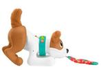 Fisher-Price Kruip met Puppy - Baby speelgoed 6 maanden -, Verzenden, Nieuw
