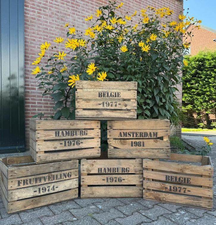Fruitkisten Opdruk assorti ruig al vanaf € 6,50 !, Huis en Inrichting, Woonaccessoires | Kisten, 50 tot 100 cm, Gebruikt, Minder dan 50 cm