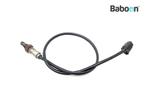 Lambda Sonde Suzuki GSX S 1000 2017-2020 (GSXS1000, Verzenden, Gebruikt