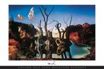 Salvador Dali - “Swans Reflecting Elephants, 1937”. - Jaren, Antiek en Kunst