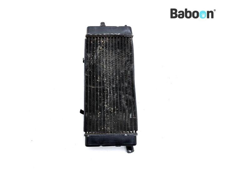 Radiateur Honda VT 600 Shadow 1988-1998 (VT600 PC21), Motoren, Onderdelen | Honda, Gebruikt, Verzenden