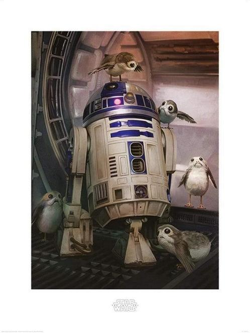 Kunstdruk Star Wars The Last Jedi R2D2 and Porgs 60x80cm, Huis en Inrichting, Woonaccessoires | Schilderijen, Tekeningen en Foto's