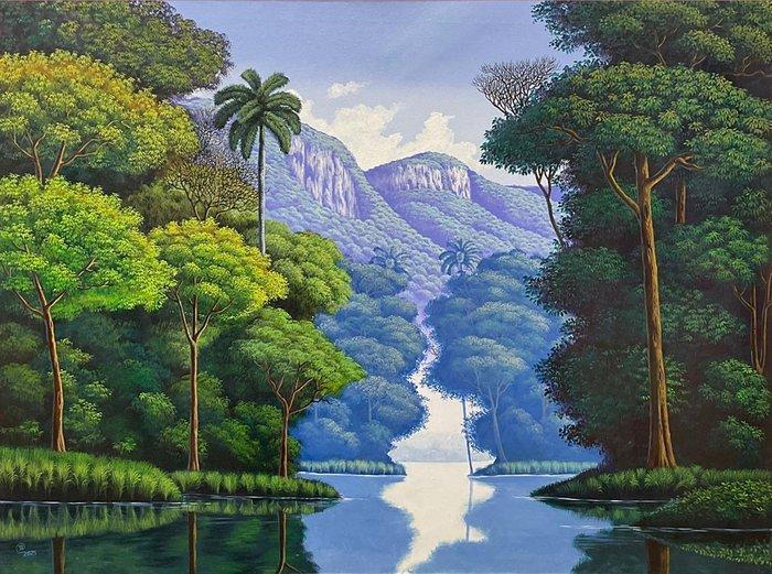 Reinier (XX) - El Corazón de la Amazonia, Antiek en Kunst, Kunst | Schilderijen | Klassiek